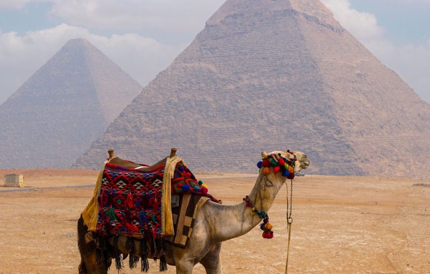 Giza pyramids & Sphinx & thirty minutes Camel ride included