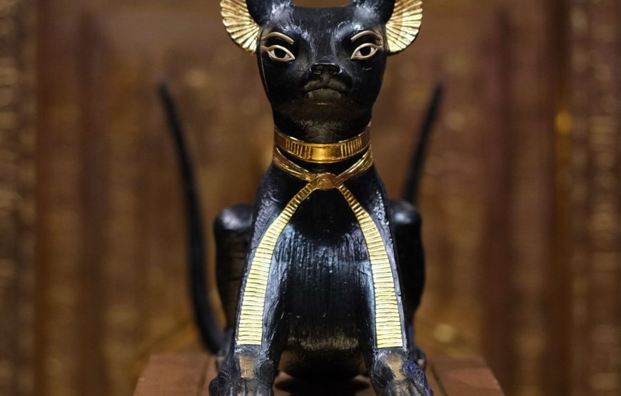 The Pyramids & The Egyptian Museum Tour