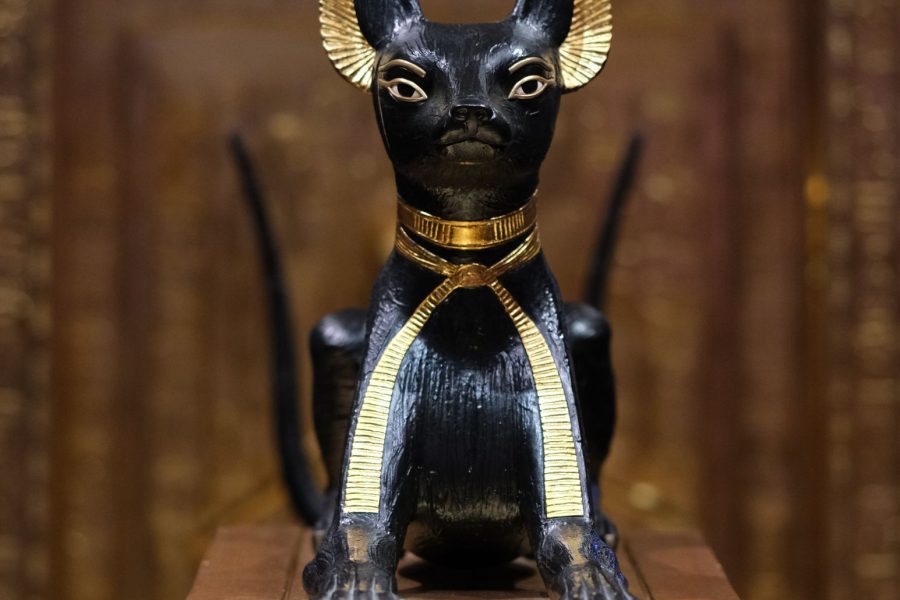 The Pyramids & The Egyptian Museum Tour