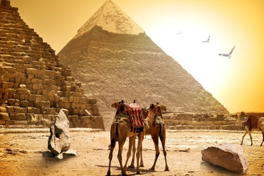 Giza Pyramids Saqqara  Memphis  Sphinx