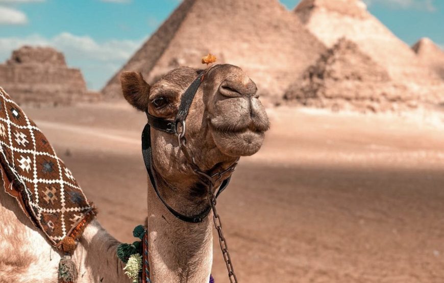 Discover the best highlights of Cairo & Giza