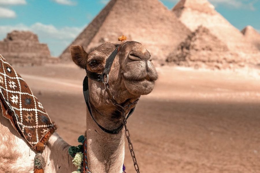 Pyramids of Giza &Sphinx-Camel ride-ATV Bike All included