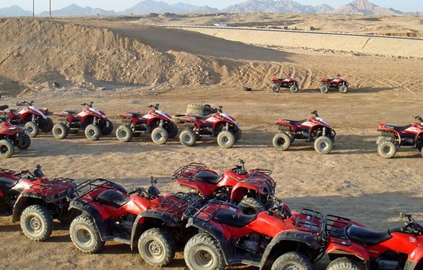 Safari tour & ATV Quad Bike & Ride a camel & Dinner and show