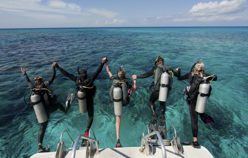 Hurghada Sea Day Tour and Scuba Diving