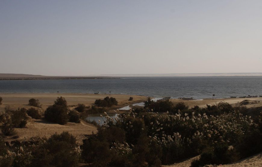 Fayoum Adventure Tour – Wadi El Hitan, Waterfalls, Sandboarding & Tunis Village