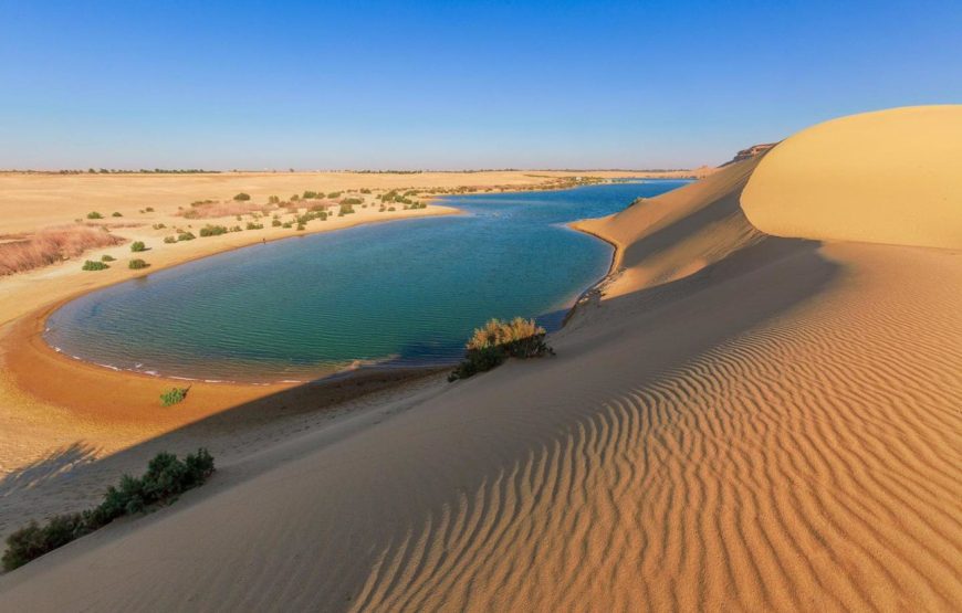Fayoum Adventure Tour – Wadi El Hitan, Waterfalls, Sandboarding & Tunis Village